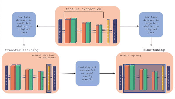 Comparison of fine-tuning and transfer learning with a general model architecture. Starting with the top middle block (original model), follow the flow chart for different situations.