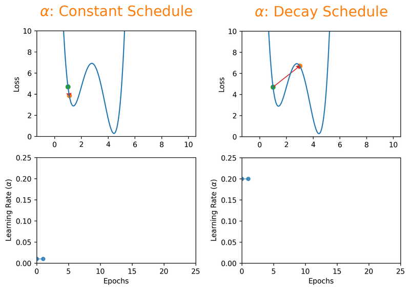 Decay schedules effect on training