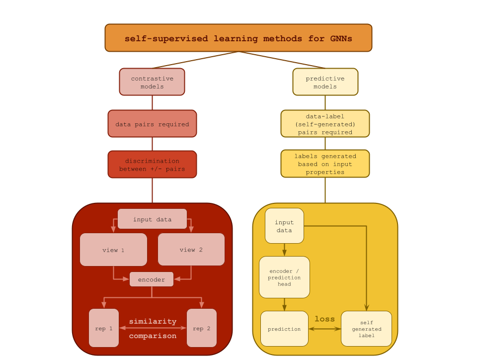 Comparison of contrastive and predictive models in the context of self-supervised learning for GNNs. On the left, contrastive models require data pairs and discriminate between positive and negative examples, and an example architecture is provided. On the right, predictive models have data(self)-generated labels and predict outputs based on input properties. An example architecture is provided.